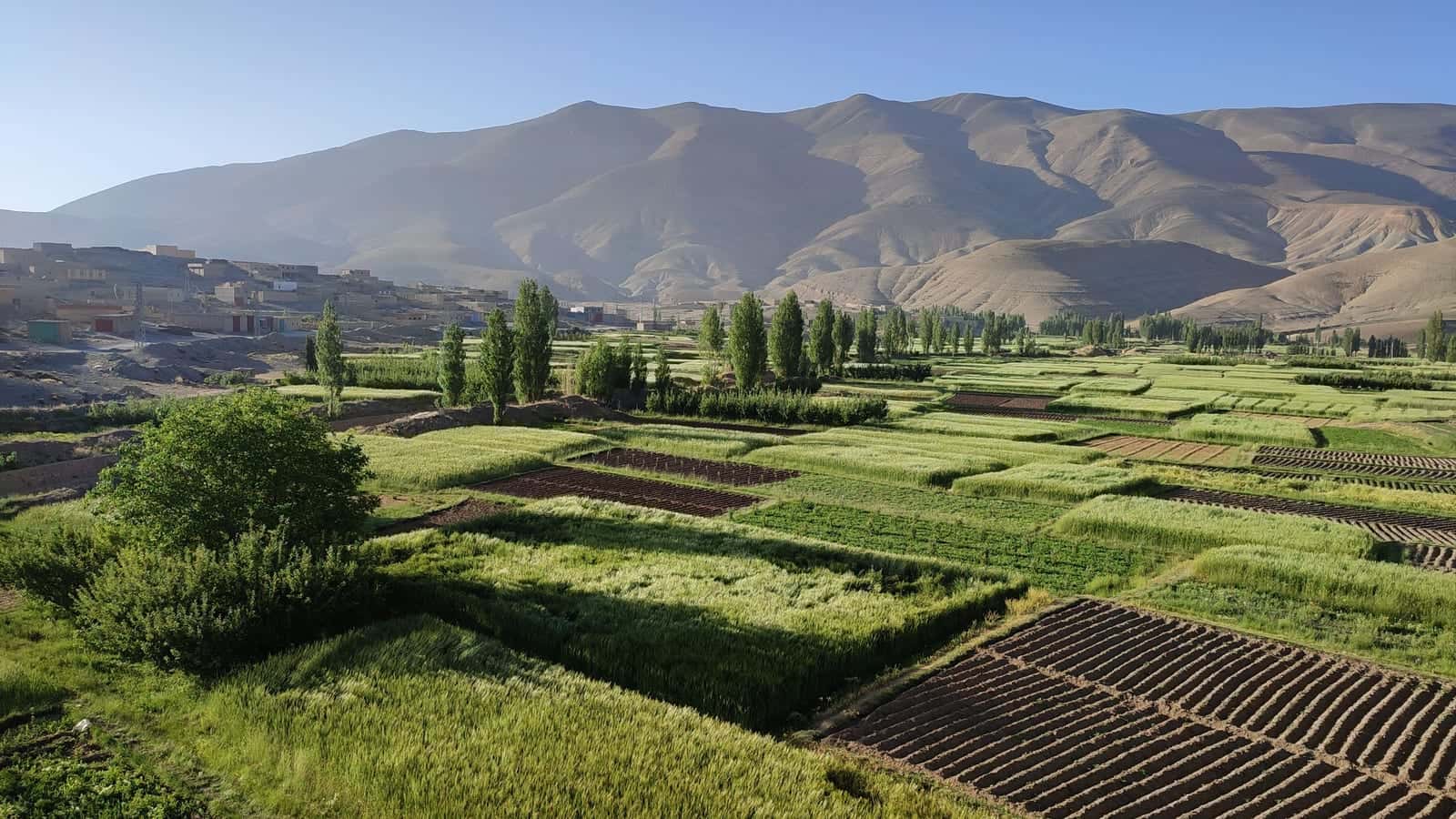 Fields in Afghanistan – Arya Food Supply