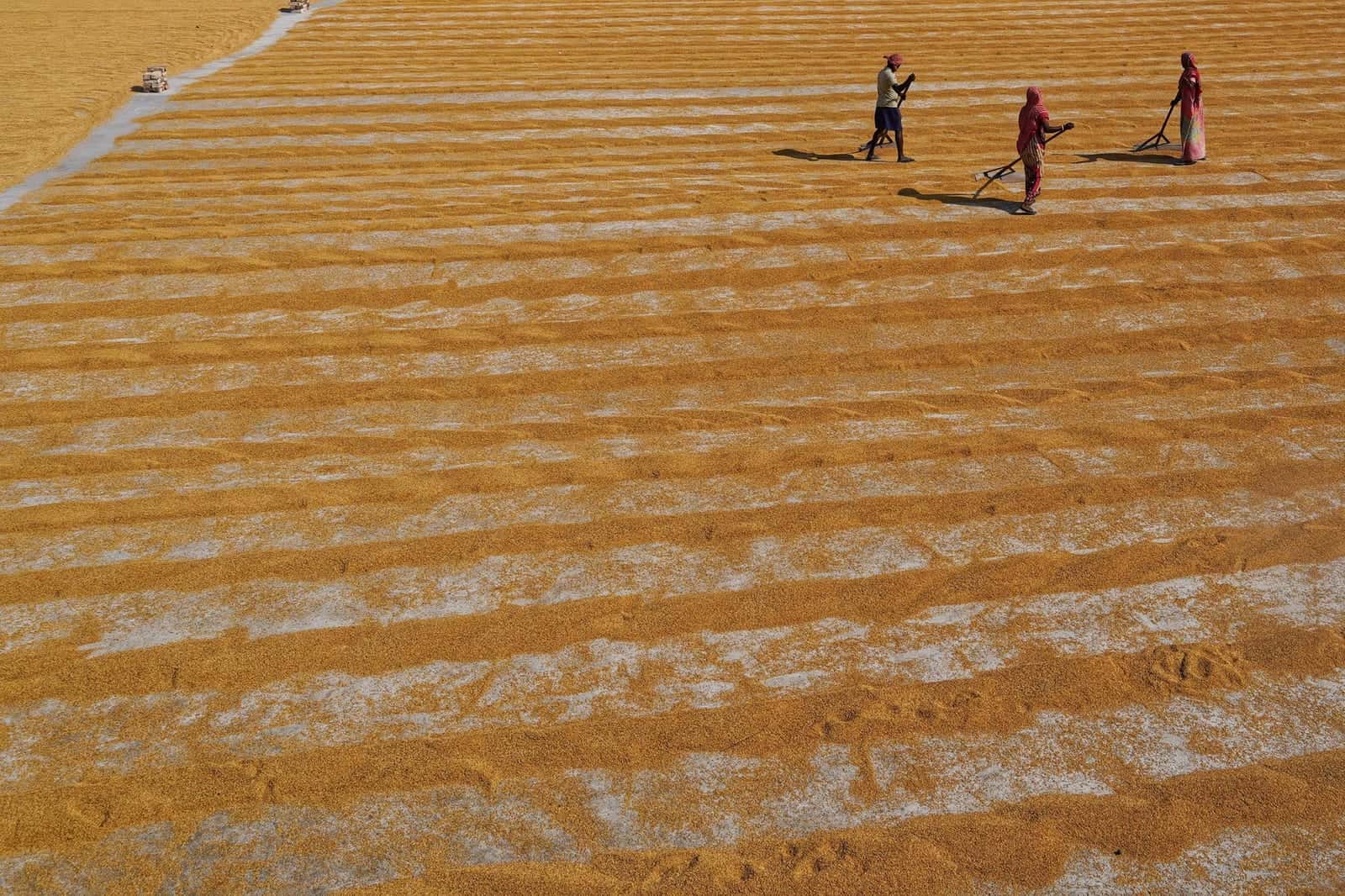 Origin fields in Afghanistan