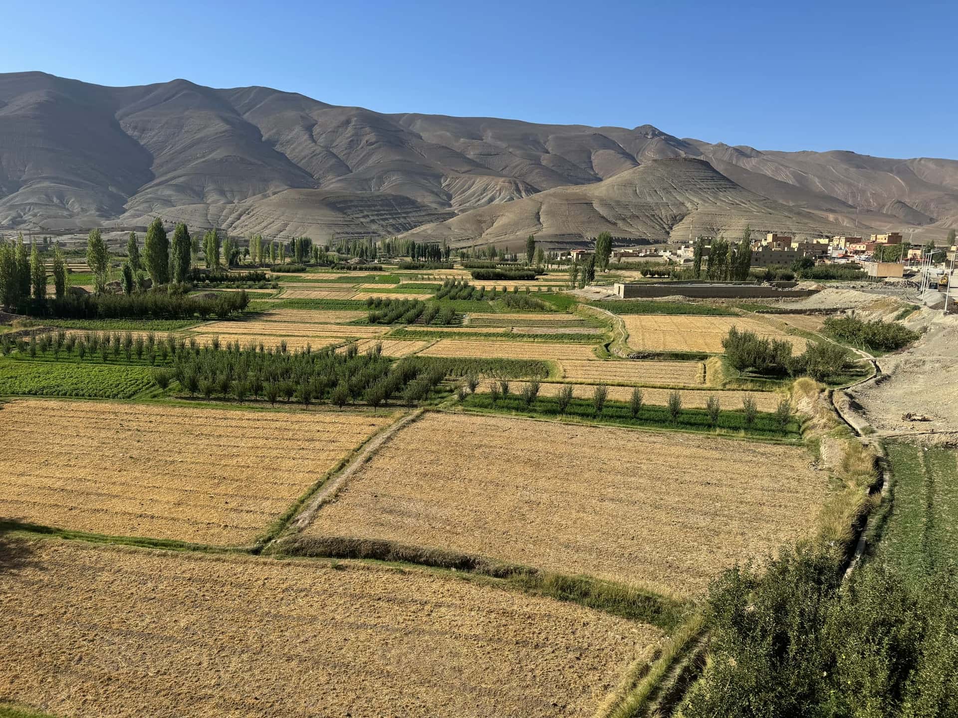 Fields in the origin region of Arya raw materials