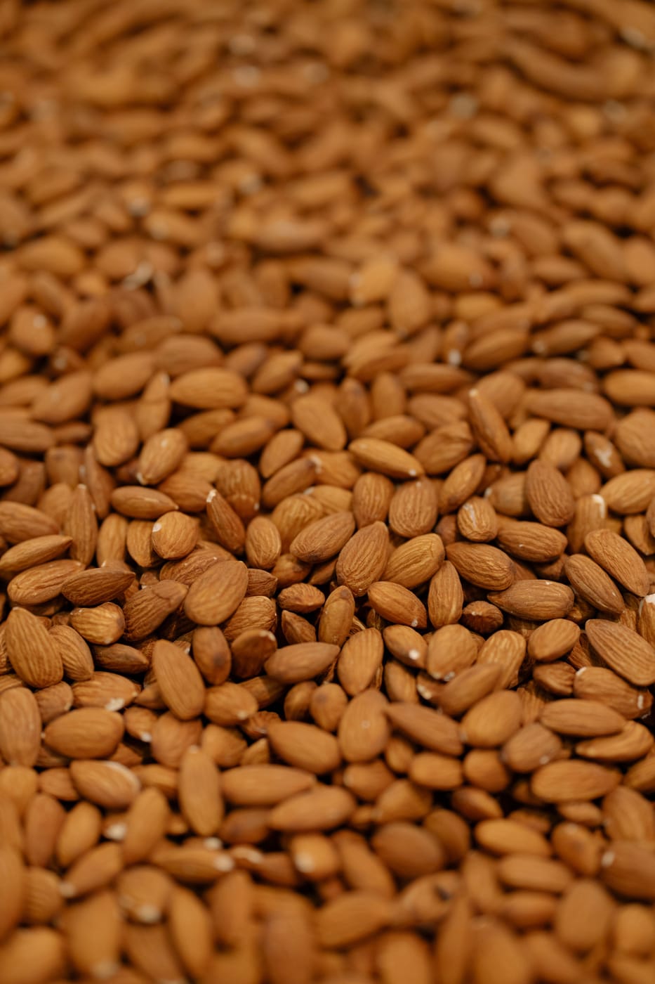 Product photo: Almond Kernels